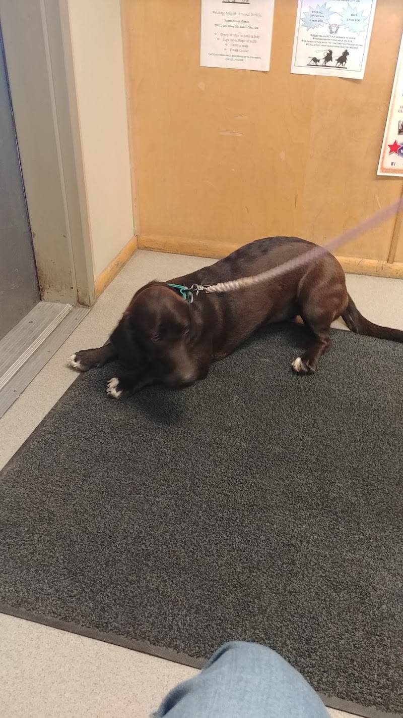 Baker Veterinary Hospital