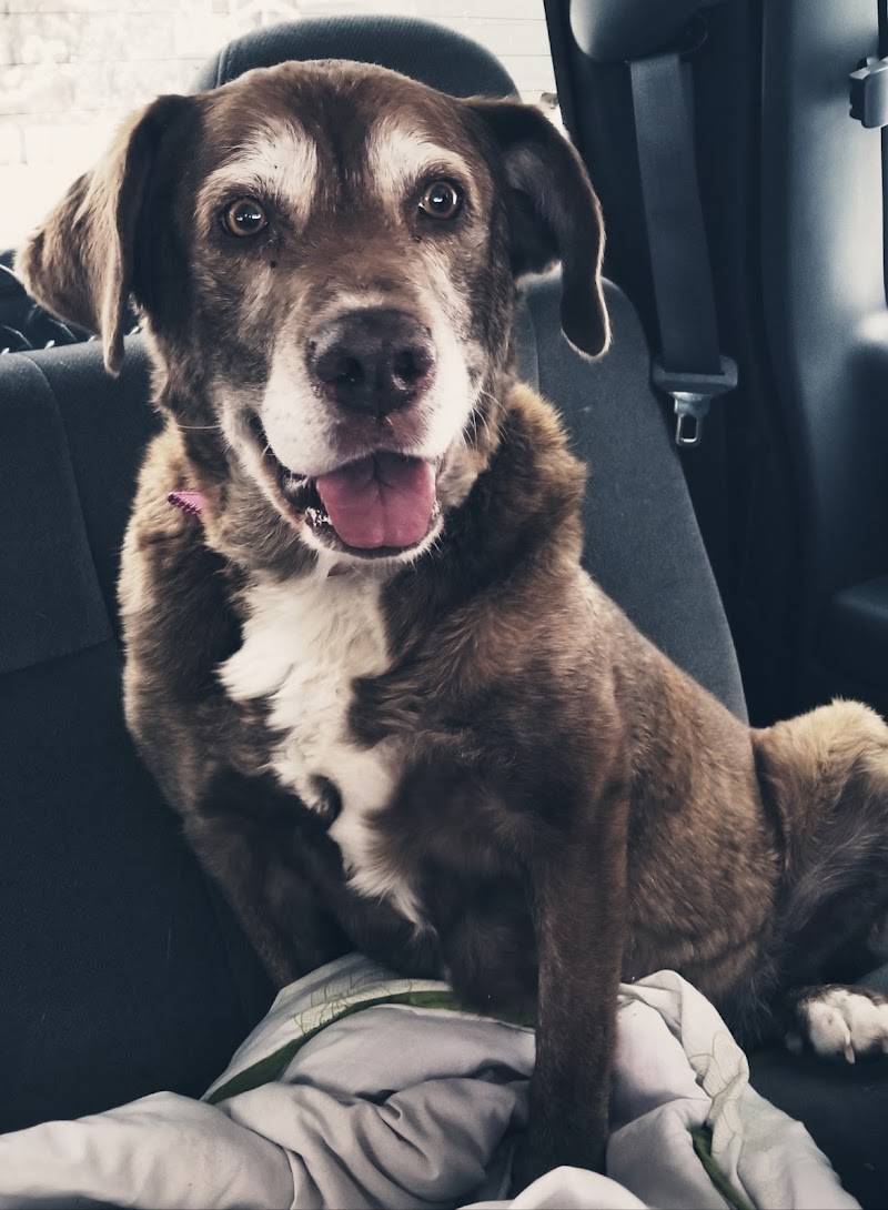 Baker Veterinary Hospital